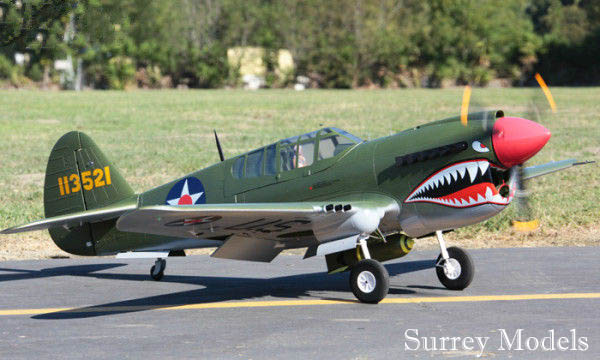 p 40 warhawk rc plane