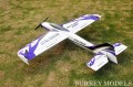 Remote Control 3D Plane