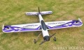 Radio Controlled 3D Plane